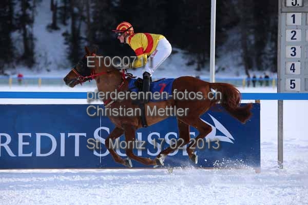 ET0Q0711 prot